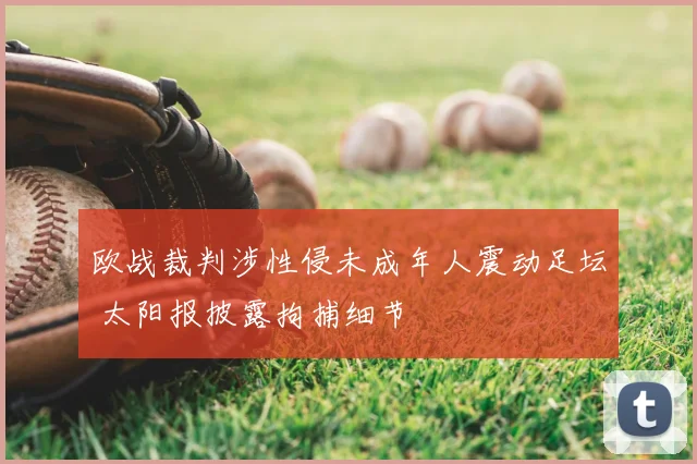 欧战裁判涉性侵未成年人震动足坛 太阳报披露拘捕细节